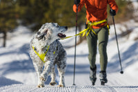 Ruffwear Omnijore Joring System